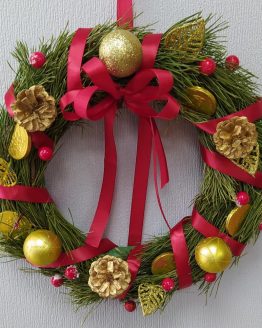 1608549550_73592570 - lera larina