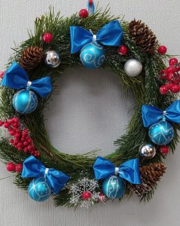 1608552405_25643689 - lera larina