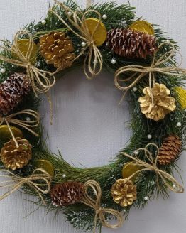 1608555121_26343780 - lera larina